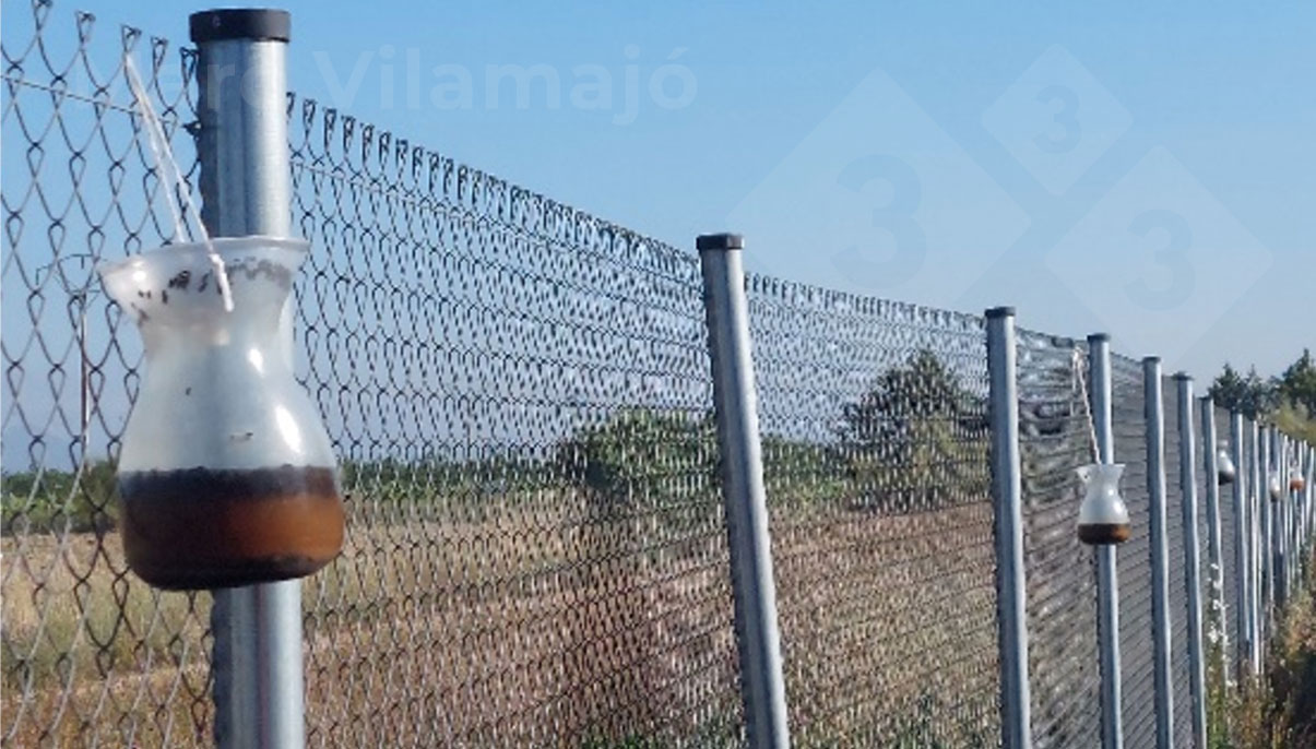 Multi-catch traps for adult flies located on the perimeter fence.